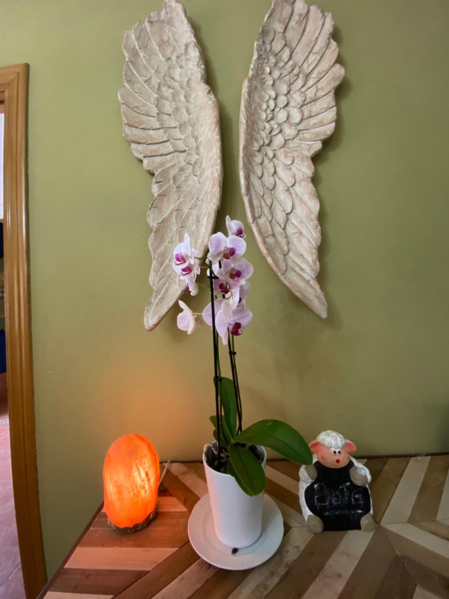 Hostal Monica Cilleruelo de Bezana Εξωτερικό φωτογραφία
